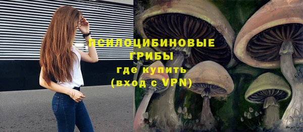 прущий лед Горнозаводск