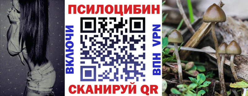 Псилоцибиновые грибы GOLDEN TEACHER  закладка  Новая Усмань 